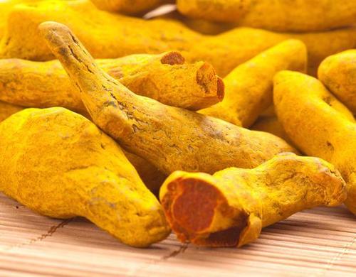 Fresh Dry Turmeric Finger