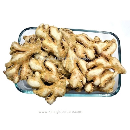 Brown Dry Ginger