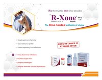 R XONE 1 GM