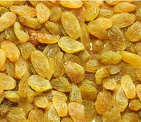 New Crop Golden Raisins