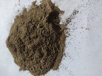 Freeze Dried Noni Powder