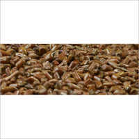 Cassia Tora Admixture (%): 1