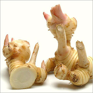 Galangal Root