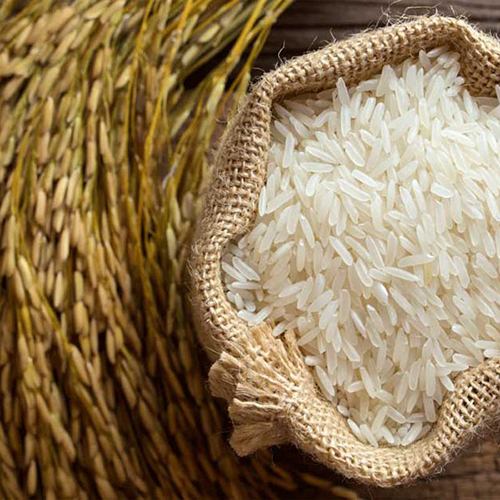 Basmati Rice