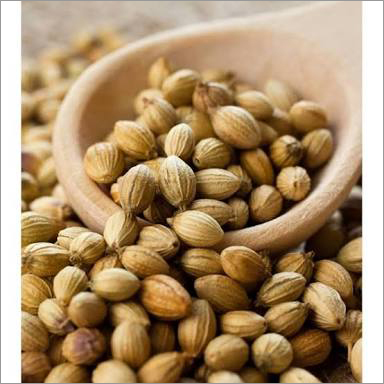 Coriander