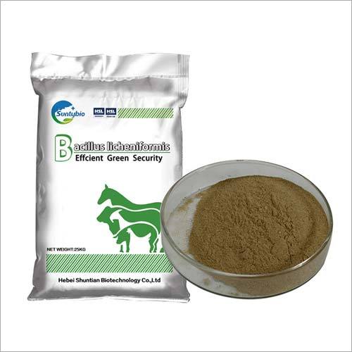 Bacillus Licheniformis Powder