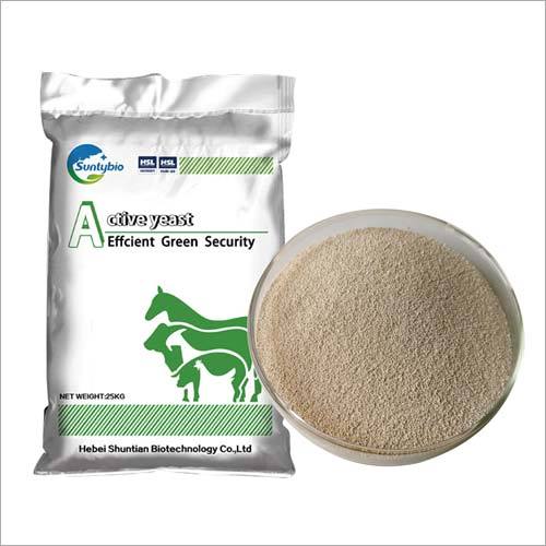 Active Yeast Powder