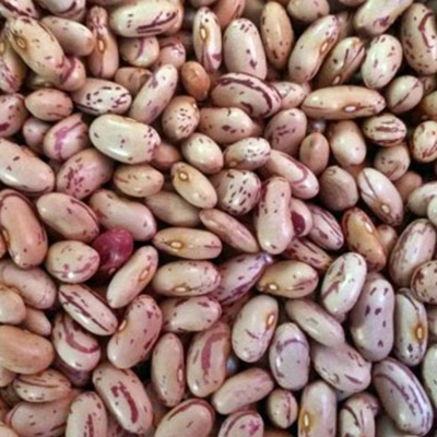 Rajma Chitra