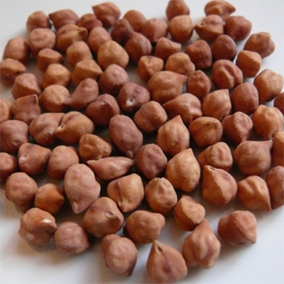 Black Chana