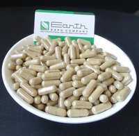 Noni Extract - Veggie Capsule 98% Pure | Antioxidant-rich, Detox Support, Immune Boosting, Ideal For Daily Use