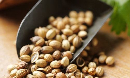 Indian Coriander Seeds