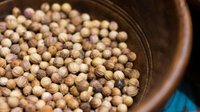 Indian Coriander Seeds