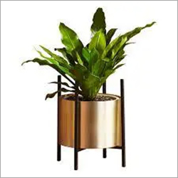 Brass Planter Set of 2 - Small Round Gold Brass, Removable Stand, Minimalist Garden Decor