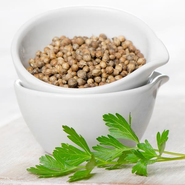 APEDA Certified Coriander Seeds