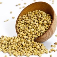APEDA Certified Coriander Seeds