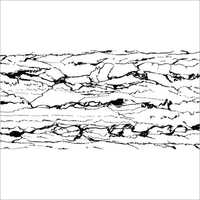 Tiger White High Glossy Tile