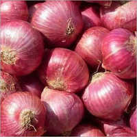 Organic Fresh Red Onion