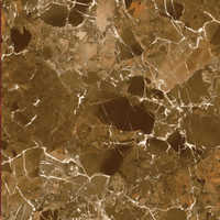 Digital Print Floor Tile