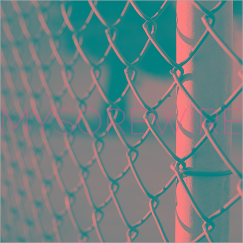 Iron Chain Link Fence Application: Agriculture Field