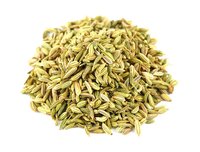 Green Best Quality Fennel Seeds