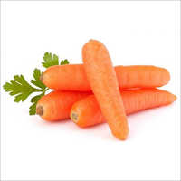 Frozen Carrot - 250g, 500g, 350g, 1kg | Whole, Pure, High Nutritional Value, Rich Aroma, Long Shelf Life, Healthy Benefits