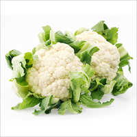 Frozen Cauliflower - 250g, 350g, 500g, 1kg | Whole Preserved Vegetable, Normal Taste, White Color, 18 Months Shelf Life