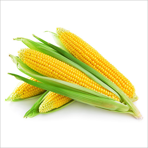 Frozen Sweet Corn Kernel