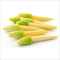 Frozen Baby Corn - 250g, 500g, 350g, 1kg | Fresh, Sweet, Yellow, Perfect For Stir Fries And Salads