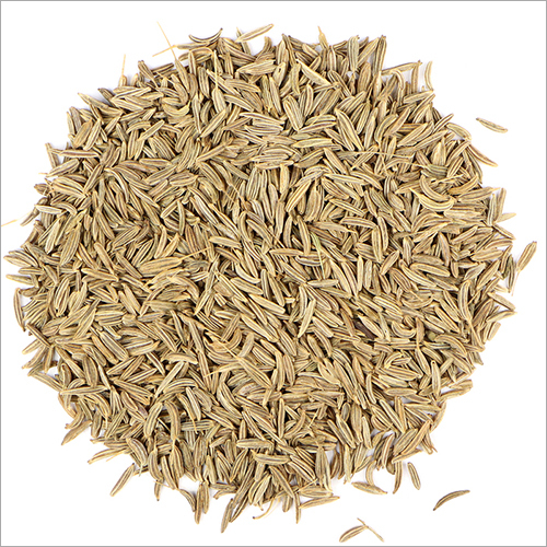 Caraway Seed