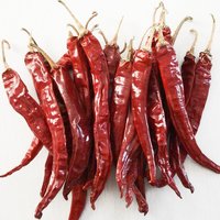 Best Quality Whole Red Chilli 2020