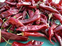 Best Quality Whole Red Chilli 2020