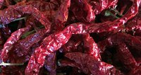 Best Quality Whole Red Chilli 2020
