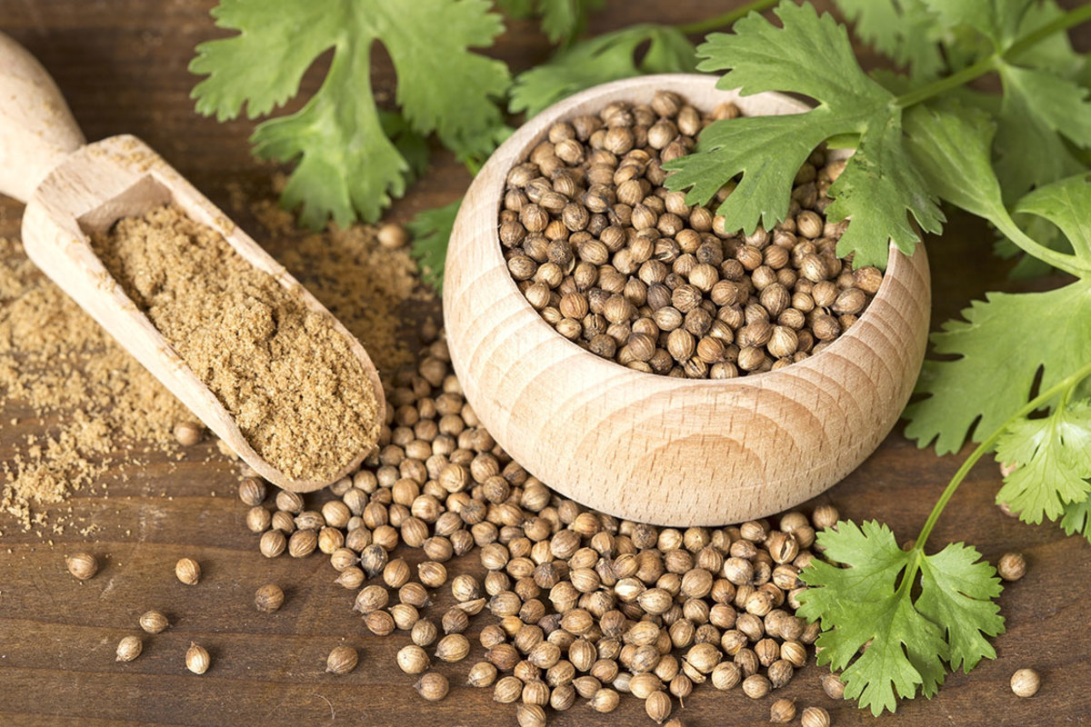 Premium Grade Coriander Seeds