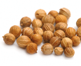 Premium Grade Coriander Seeds