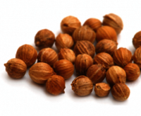Premium Grade Coriander Seeds