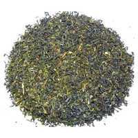 Orthodox Green Tea - Dried Whole Leaf | Multi-layered Taste, Rich In Antioxidants, Organic, Air-tight Jute Packaging