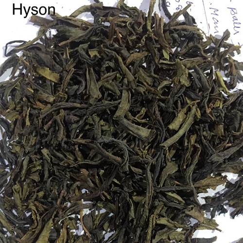 HYSON Green Tea