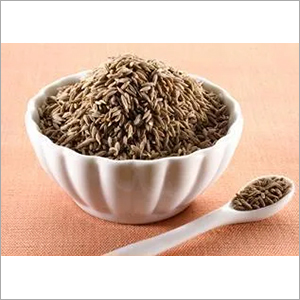 New Crop Cumin Seeds