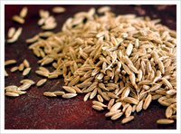 New Crop Cumin Seeds