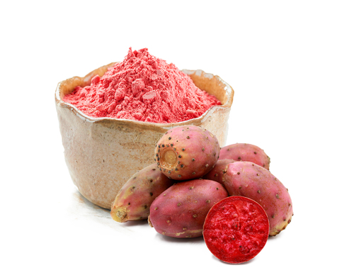 Spray Dried Prickly Pear Fruit  Powder