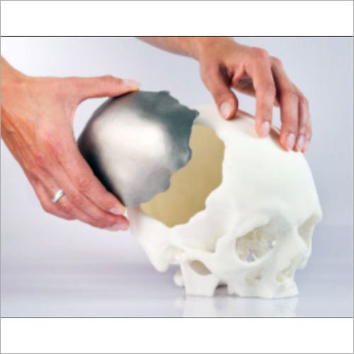 3D Human Skull Printing Service