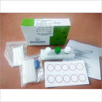 VDRL Serology ( RPR )