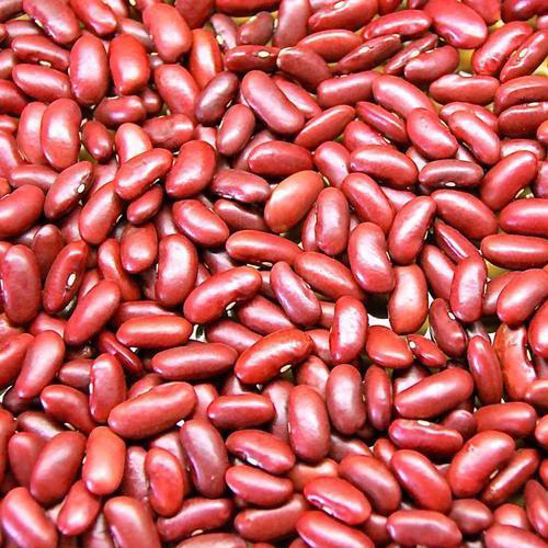 Brown Red Kidney Beans