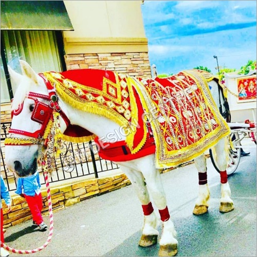 Wedding Ghodi Service