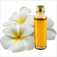 Tuberose Absolute Oil - Pure Essential Oil Extracted From Flowers | Herbal Extract, All Age Group, 3-year Shelf Life, Store Cool & Dry