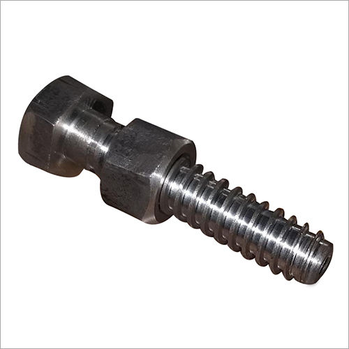 Hexagon 316 Ss Nut Bolt