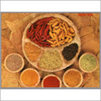 Powder Spices