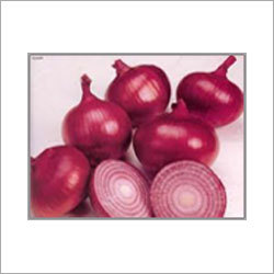 Fresh Onion
