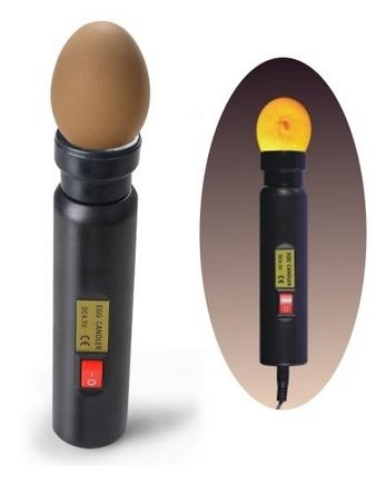Portable Egg Candler