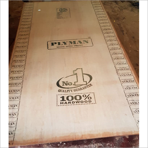 Plywood Door Application: Exterior